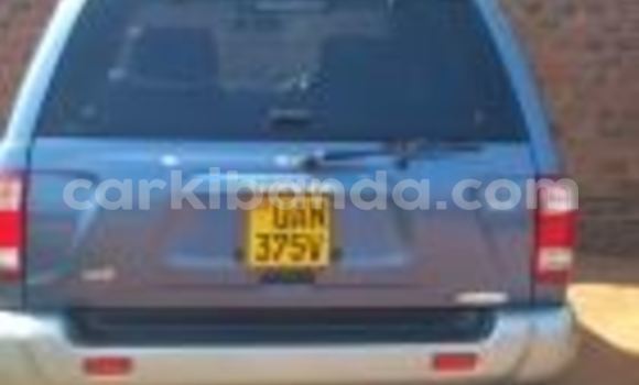 Buy Used Nissan Terrano Blue Car in Arua in Uganda