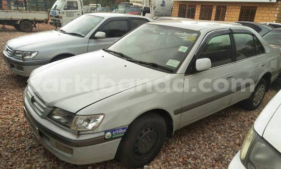 Acheter Occasion Voiture Premier 118NE Autre à Kampala, Ouganda Acheter Occasion Voiture Premier 118NE Autre à Kampala, Ouganda