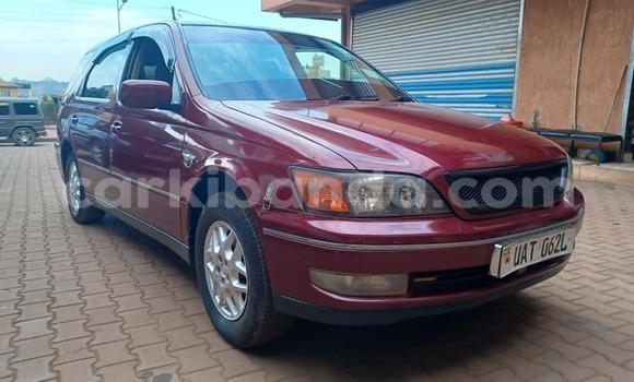 Buy Used Toyota Vista Other Car in Kampala in Uganda Buy Used Toyota Vista Other Car in Kampala in Uganda