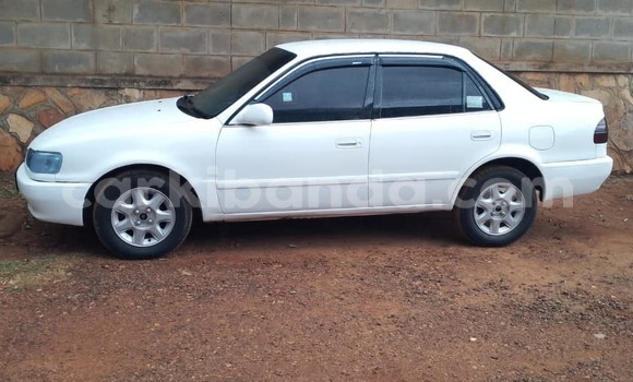 Buy Used Toyota Corolla White Car in Kampala in Uganda