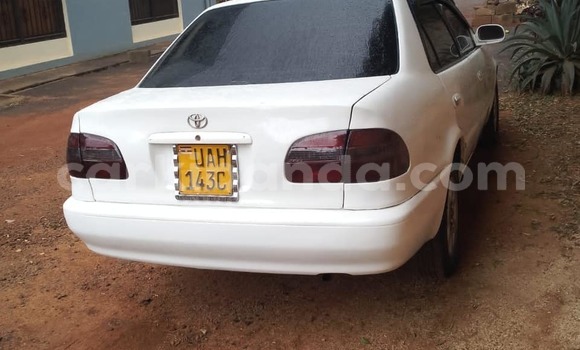 Acheter Occasion Voiture Toyota Corolla Blanc à Kampala, Ouganda Acheter Occasion Voiture Toyota Corolla Blanc à Kampala, Ouganda