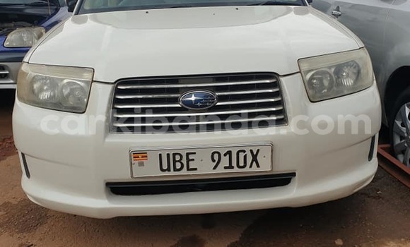 Buy Used Subaru Ascent White Car in Kampala in Uganda