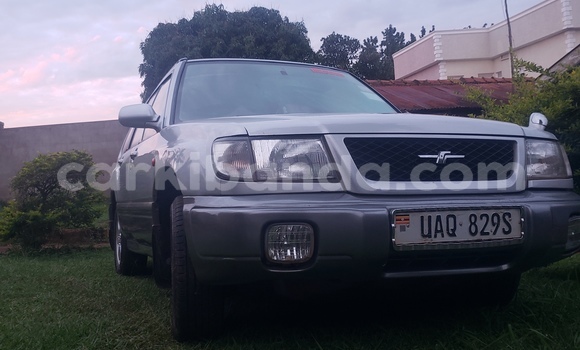 Buy Used Subaru Forester Silver Car in Entebbe in Uganda Buy Used Subaru Forester Silver Car in Entebbe in Uganda