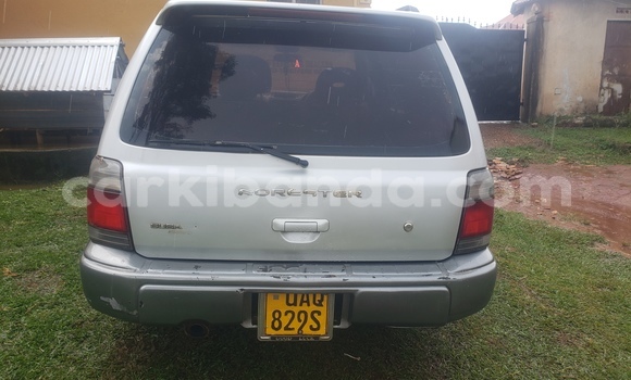Buy Used Subaru Forester Silver Car in Entebbe in Uganda Buy Used Subaru Forester Silver Car in Entebbe in Uganda