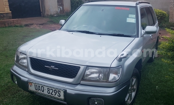Buy Used Subaru Forester Silver Car in Entebbe in Uganda Buy Used Subaru Forester Silver Car in Entebbe in Uganda