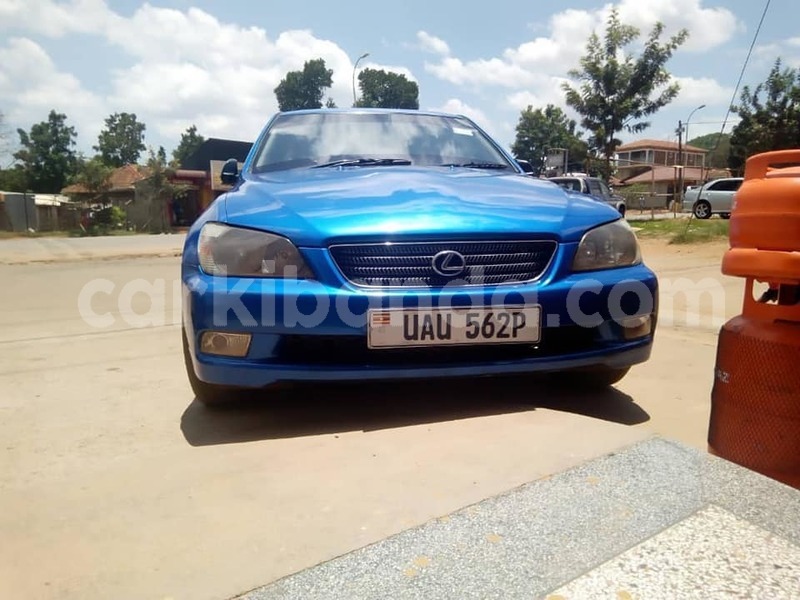 Big with watermark 46967619 2061524180575793 323726524211527680 n