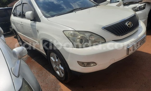 Buy Used Toyota Harrier White Car in Kampala in Uganda
