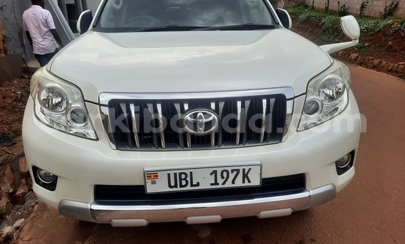 Buy Used Toyota Prado White Car in Kampala in Uganda