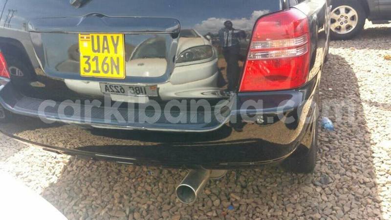 Big with watermark 46950144 151208439174391 4968447532704202752 n