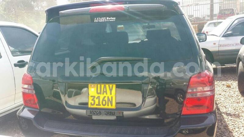 Big with watermark 46908454 151208402507728 8075992792406425600 n