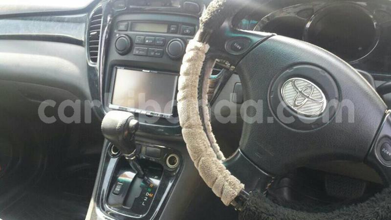 Big with watermark 46957287 151208362507732 5793833667381952512 n