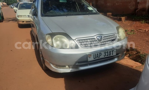 Nunua Ilio tumika Toyota Allex Nyingine Gari ndani ya Kampala nchini Uganda