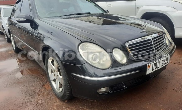 Acheter Occasion Voiture Mercedes-Benz E-Classe Noir à Kampala, Ouganda Acheter Occasion Voiture Mercedes-Benz E-Classe Noir à Kampala, Ouganda