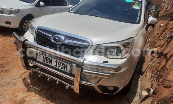 Acheter Occasion Voiture Subaru Forester Blanc à Kampala, Ouganda Acheter Occasion Voiture Subaru Forester Blanc à Kampala, Ouganda