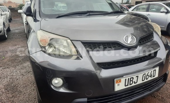 Acheter Occasion Voiture Toyota IST Autre à Kampala, Ouganda Acheter Occasion Voiture Toyota IST Autre à Kampala, Ouganda