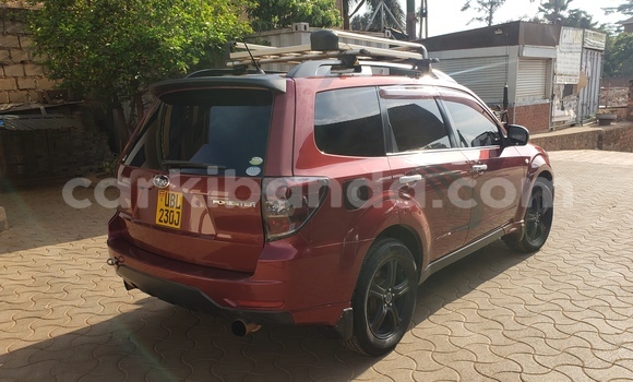Buy Used Subaru Forester Red Car in Kampala in Uganda