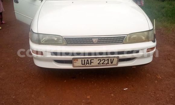 Acheter Occasion Voiture Toyota Corolla Blanc à Kampala, Ouganda Acheter Occasion Voiture Toyota Corolla Blanc à Kampala, Ouganda