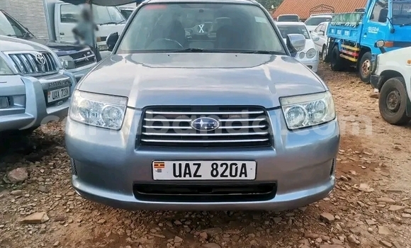 Gura Yakoze Subaru Forester Other Imodoka i Ibanda mu Western Gura Yakoze Subaru Forester Other Imodoka i Ibanda mu Western