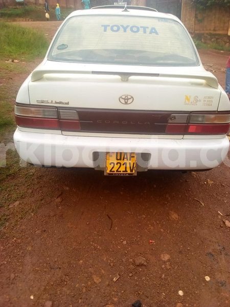 Big with watermark 46488132 2188445184810013 5563479766545203200 n