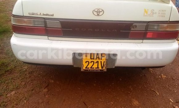 Acheter Occasion Voiture Toyota Corolla Blanc à Kampala, Ouganda Acheter Occasion Voiture Toyota Corolla Blanc à Kampala, Ouganda