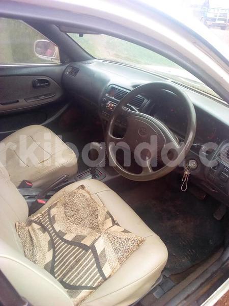 Big with watermark 46507955 2188445501476648 5440551514701561856 n