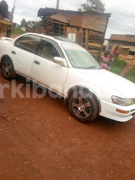 Big with watermark 46782687 2188445078143357 1331708443244888064 n