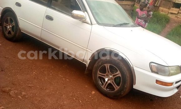 Acheter Occasion Voiture Toyota Corolla Blanc à Kampala, Ouganda Acheter Occasion Voiture Toyota Corolla Blanc à Kampala, Ouganda