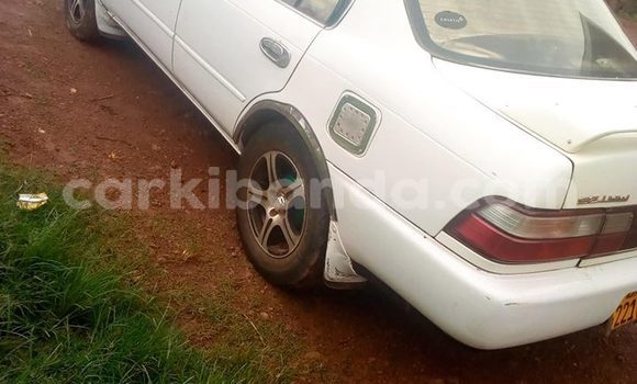 Acheter Occasion Voiture Toyota Corolla Blanc à Kampala, Ouganda Acheter Occasion Voiture Toyota Corolla Blanc à Kampala, Ouganda