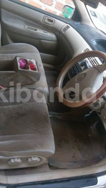 Big with watermark 46768220 1220067281465861 7817970918407274496 n