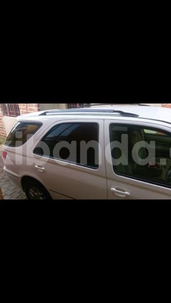 Big with watermark 46821405 1220066878132568 6078151878082822144 n