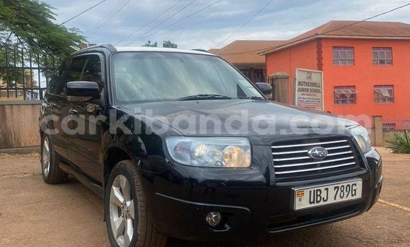 Buy Used Toyota Highlander Black Car in Masaka in Uganda