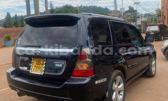 Nunua Ilio tumika Toyota Highlander Nyeusi Gari ndani ya Masaka nchini Uganda Nunua Ilio tumika Toyota Highlander Nyeusi Gari ndani ya Masaka nchini Uganda