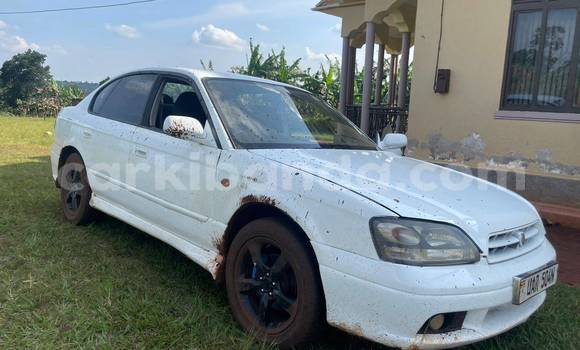 Nunua Ilio tumika Subaru Ascent Nyeupe Gari ndani ya Busembatia nchini Mashariki Nunua Ilio tumika Subaru Ascent Nyeupe Gari ndani ya Busembatia nchini Mashariki