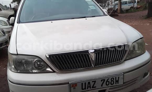 Nunua Ilio tumika Toyota Vitz Nyeupe Gari ndani ya Bundibugyo nchini Magharibi