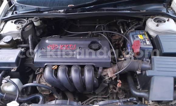 Nunua Ilio tumika Toyota Vitz Nyeupe Gari ndani ya Bundibugyo nchini Magharibi Nunua Ilio tumika Toyota Vitz Nyeupe Gari ndani ya Bundibugyo nchini Magharibi