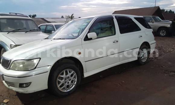 Nunua Ilio tumika Toyota Vitz Nyeupe Gari ndani ya Bundibugyo nchini Magharibi Nunua Ilio tumika Toyota Vitz Nyeupe Gari ndani ya Bundibugyo nchini Magharibi