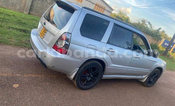 Buy Used Subaru Baja Other Car in Bugiri in Eastern