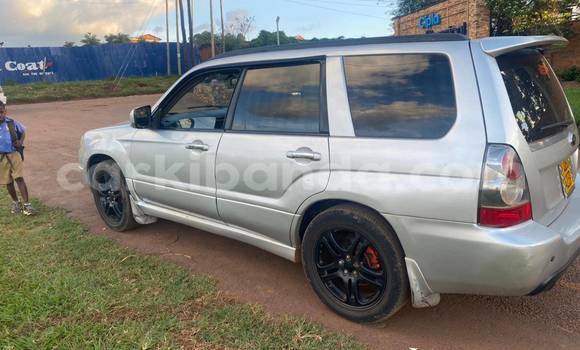 Nunua Ilio tumika Subaru Baja Nyingine Gari ndani ya Bugiri nchini Mashariki Nunua Ilio tumika Subaru Baja Nyingine Gari ndani ya Bugiri nchini Mashariki