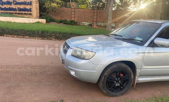 Nunua Ilio tumika Subaru Baja Nyingine Gari ndani ya Bugiri nchini Mashariki Nunua Ilio tumika Subaru Baja Nyingine Gari ndani ya Bugiri nchini Mashariki