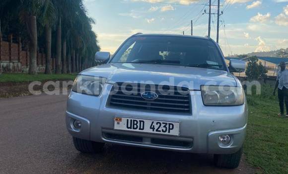 Nunua Ilio tumika Subaru Baja Nyingine Gari ndani ya Bugiri nchini Mashariki Nunua Ilio tumika Subaru Baja Nyingine Gari ndani ya Bugiri nchini Mashariki