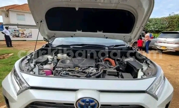 Acheter Occasion Voiture Toyota RAV4 Blanc à Kampala, Ouganda Acheter Occasion Voiture Toyota RAV4 Blanc à Kampala, Ouganda