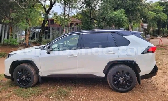 Acheter Occasion Voiture Toyota RAV4 Blanc à Kampala, Ouganda Acheter Occasion Voiture Toyota RAV4 Blanc à Kampala, Ouganda