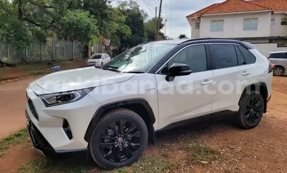 Acheter Occasion Voiture Toyota RAV4 Blanc à Kampala, Ouganda Acheter Occasion Voiture Toyota RAV4 Blanc à Kampala, Ouganda