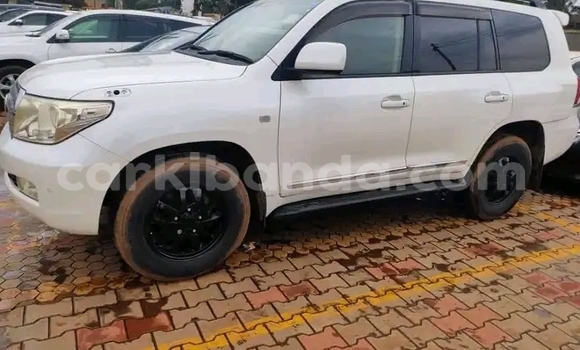 Acheter Occasion Voiture Toyota Land Cruiser Blanc à Kampala, Ouganda Acheter Occasion Voiture Toyota Land Cruiser Blanc à Kampala, Ouganda