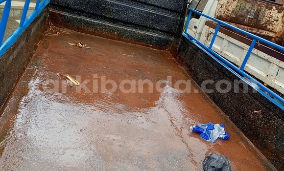 Buy Used Isuzu FTR 850 Blue Truck in Kampala in Uganda Buy Used Isuzu FTR 850 Blue Truck in Kampala in Uganda