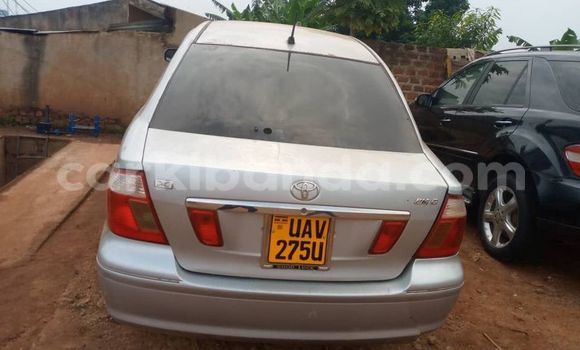 Buy Used Acura CSX Other Car in Adjumani in Northern