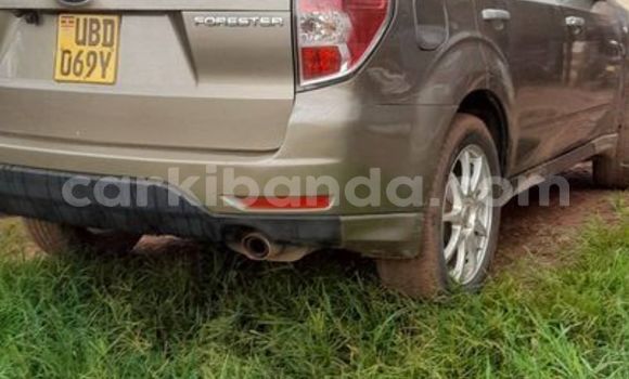 Acheter Occasion Voiture Hyundai Accent Autre à Adjumani, Nord Acheter Occasion Voiture Hyundai Accent Autre à Adjumani, Nord