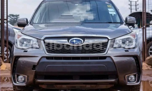 Buy Used Subaru Forester Beige Car in Kampala in Uganda