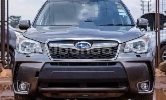 Nunua Ilio tumika Subaru Forester Beige Gari ndani ya Kampala nchini Uganda Nunua Ilio tumika Subaru Forester Beige Gari ndani ya Kampala nchini Uganda