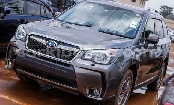 Nunua Ilio tumika Subaru Forester Beige Gari ndani ya Kampala nchini Uganda Nunua Ilio tumika Subaru Forester Beige Gari ndani ya Kampala nchini Uganda